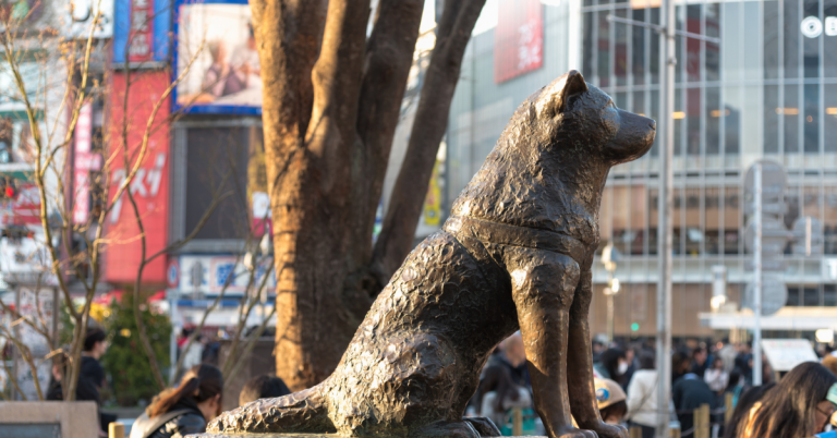 Shibuya Station with Hachiko Statue