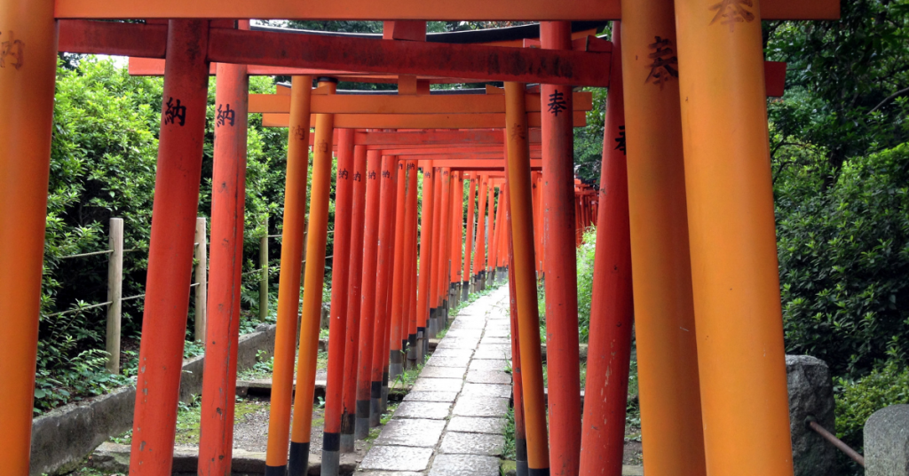 Tokyo Wide Pass and Yamanote Line: Coverage and Savings