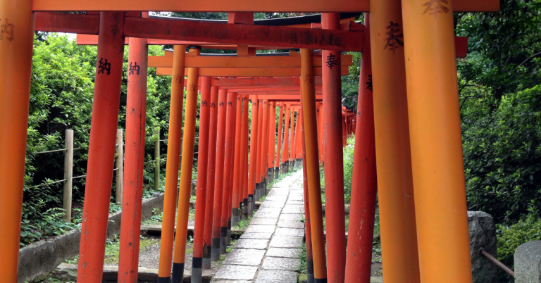 Tokyo Wide Pass and Yamanote Line: Coverage and Savings