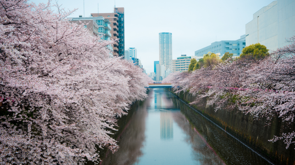 meguro station yamanote line
