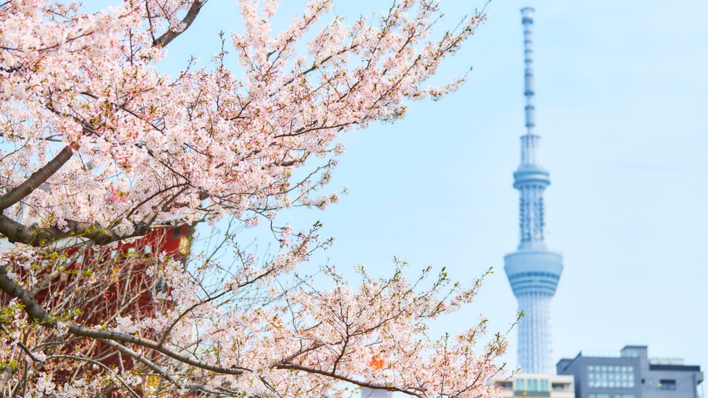 takadanobaba station yamanote line